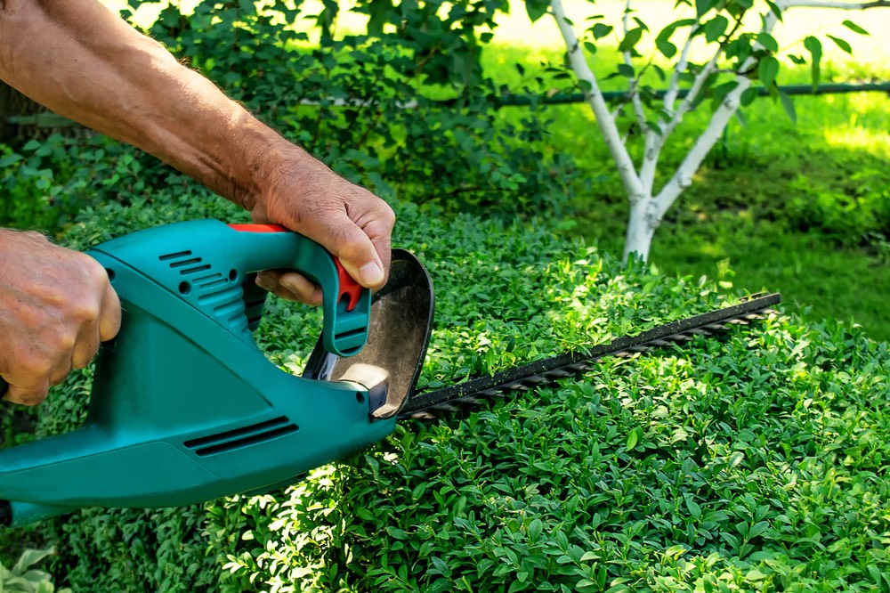 electrical-shrub-pruning